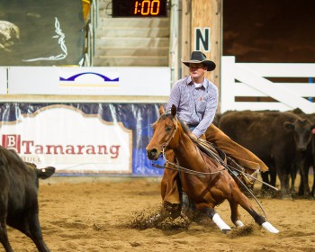 futurity2012_openderbyGR1-0553